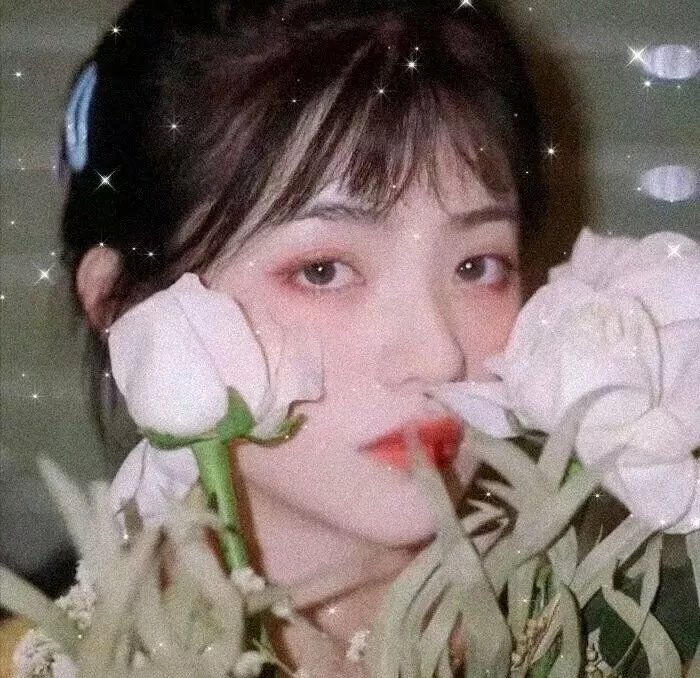 青春年华